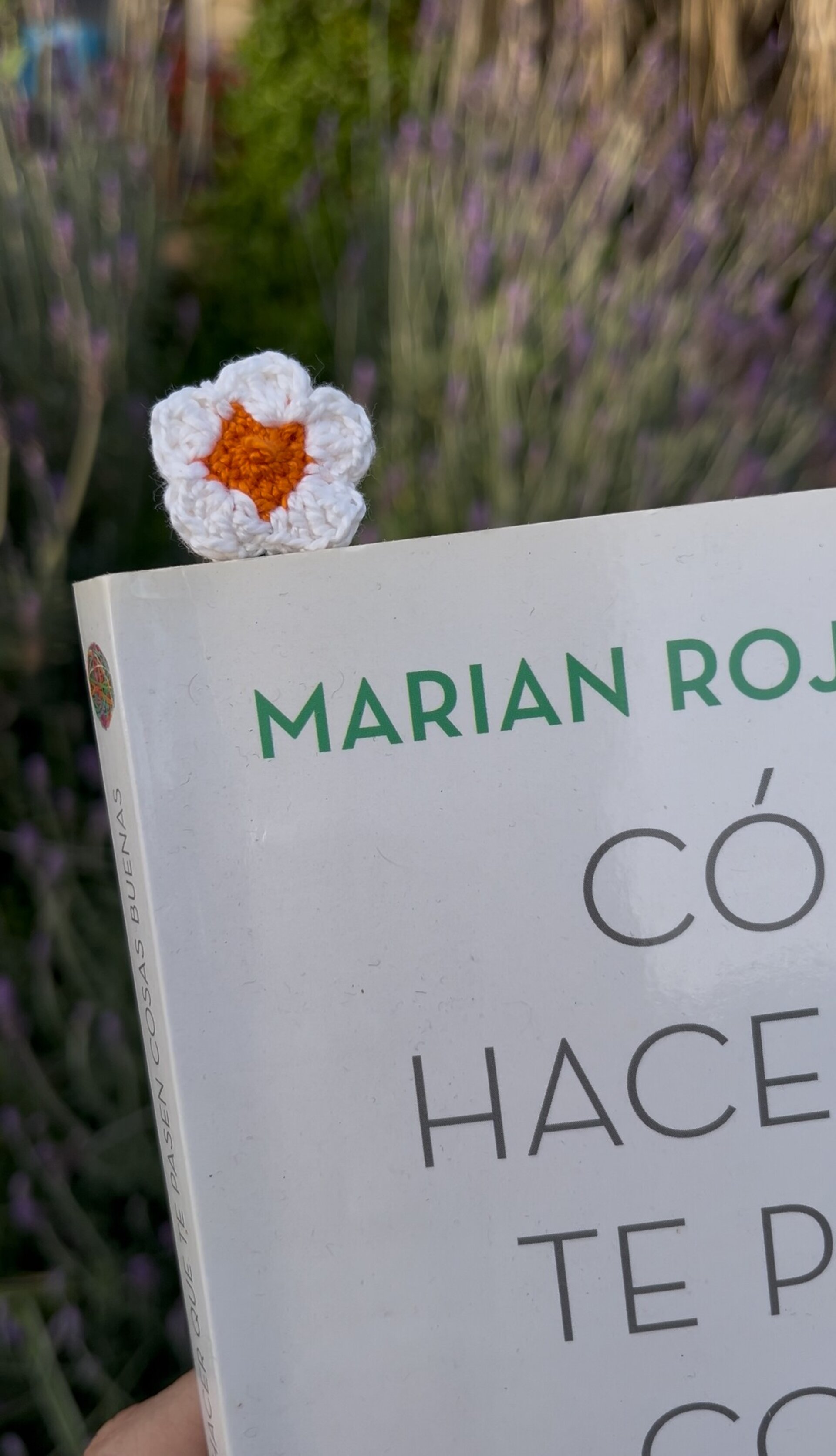 Punto de libro Crochet Fresa - 7