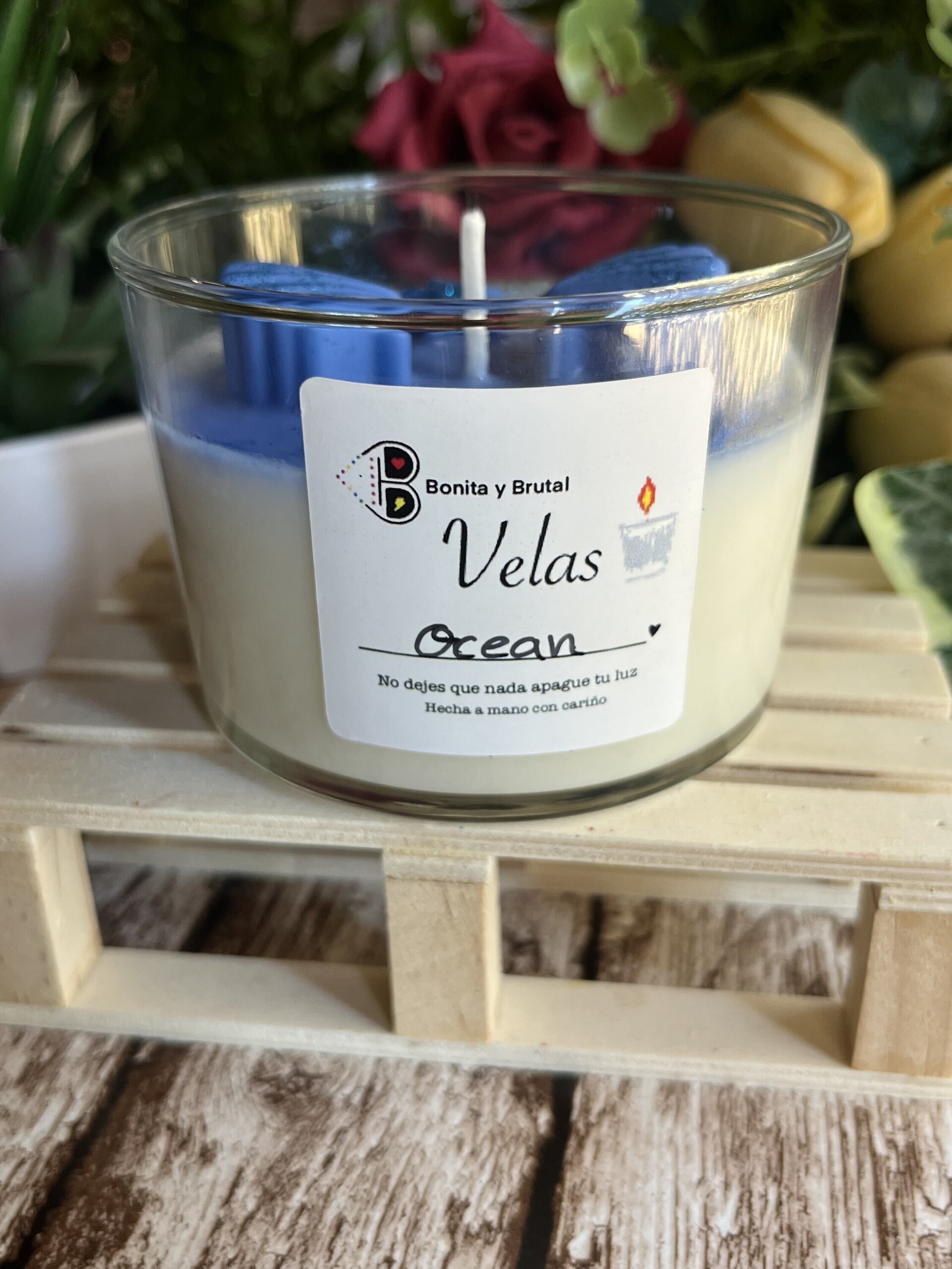 VELA OCEAN - 3