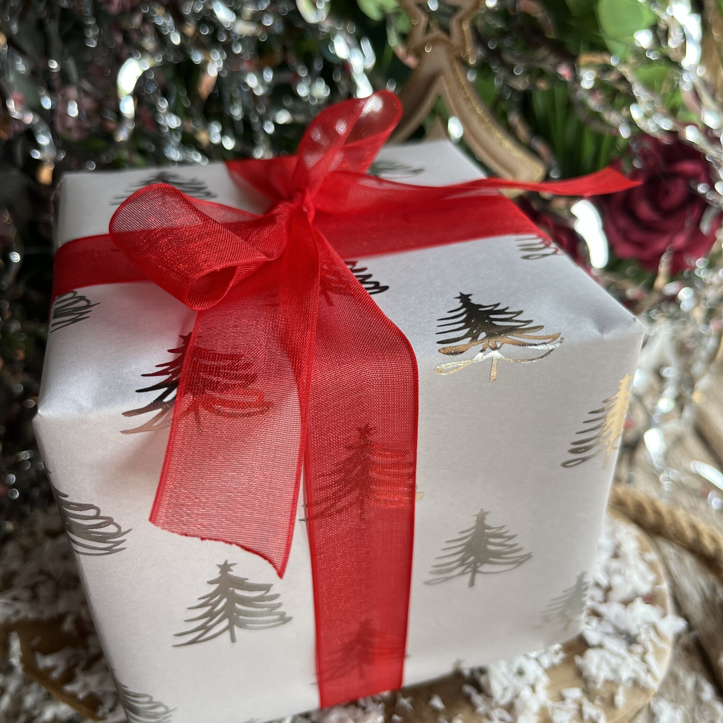 Colección Navidad 2025