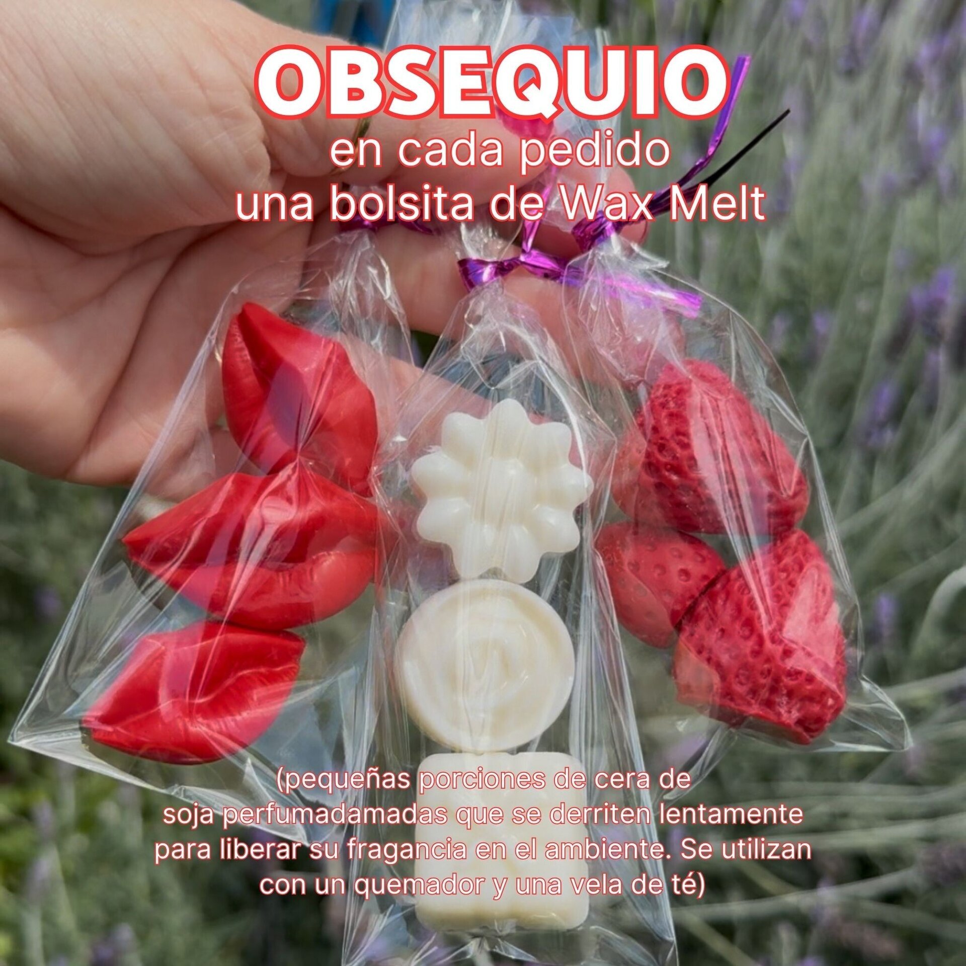Wax Melt fresas de cera de soja - 5