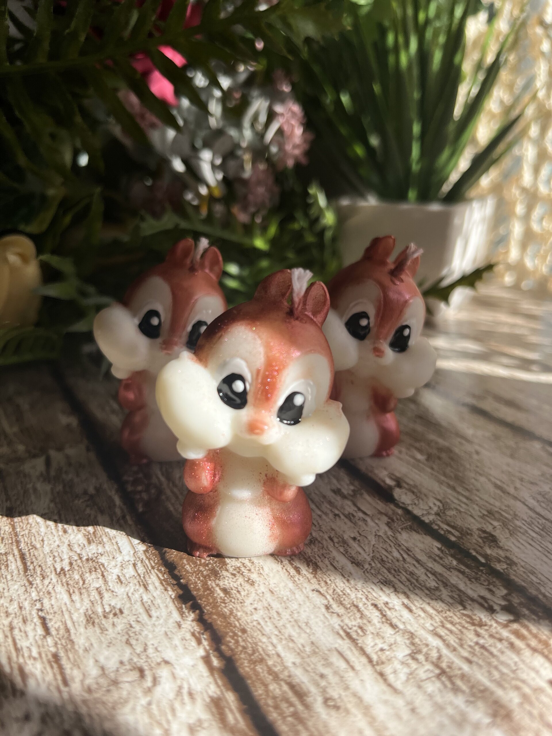 Ardillita aromática - 2