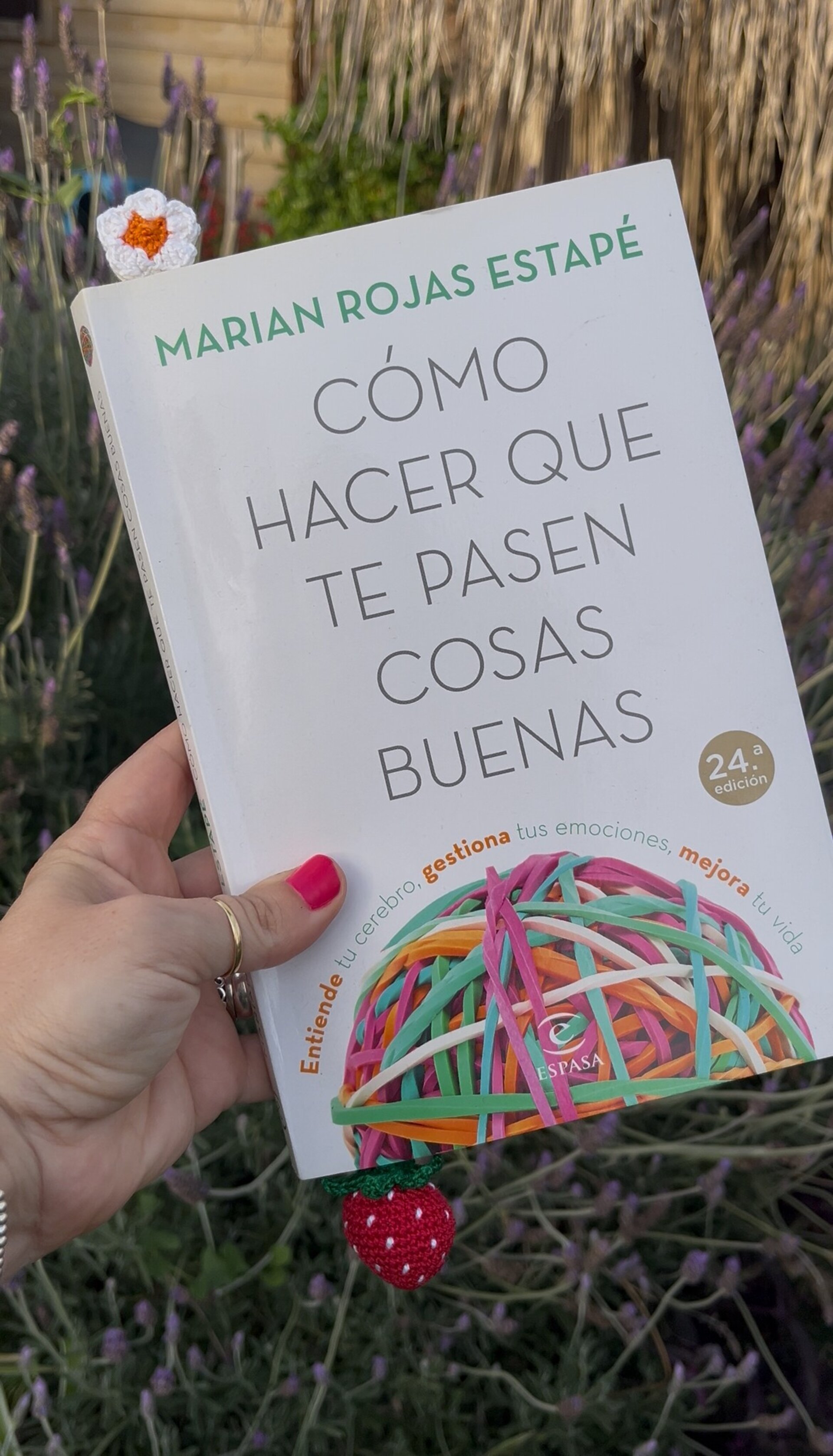 Punto de libro Crochet Fresa - 2