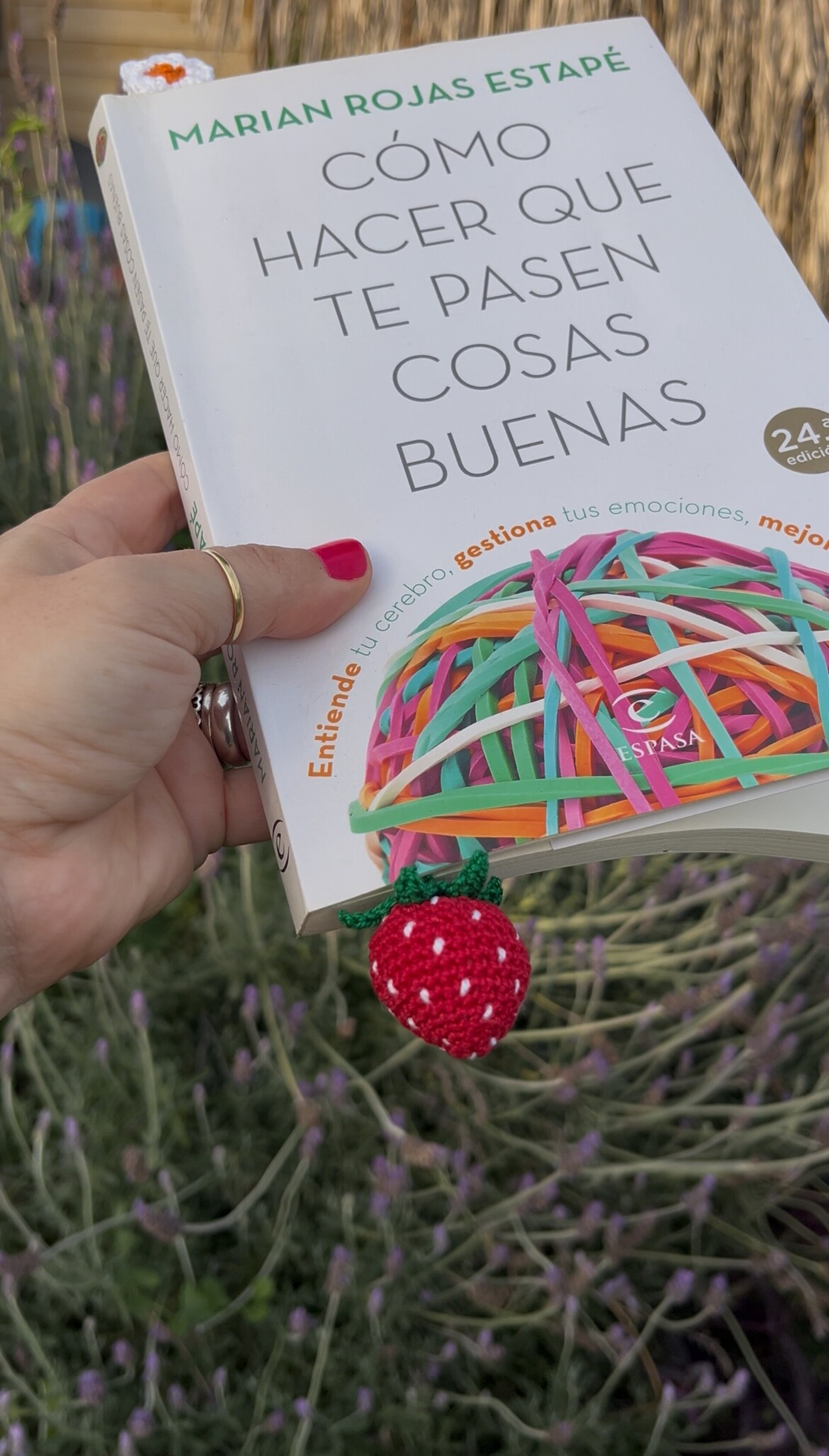 Punto de libro Crochet Fresa - 9