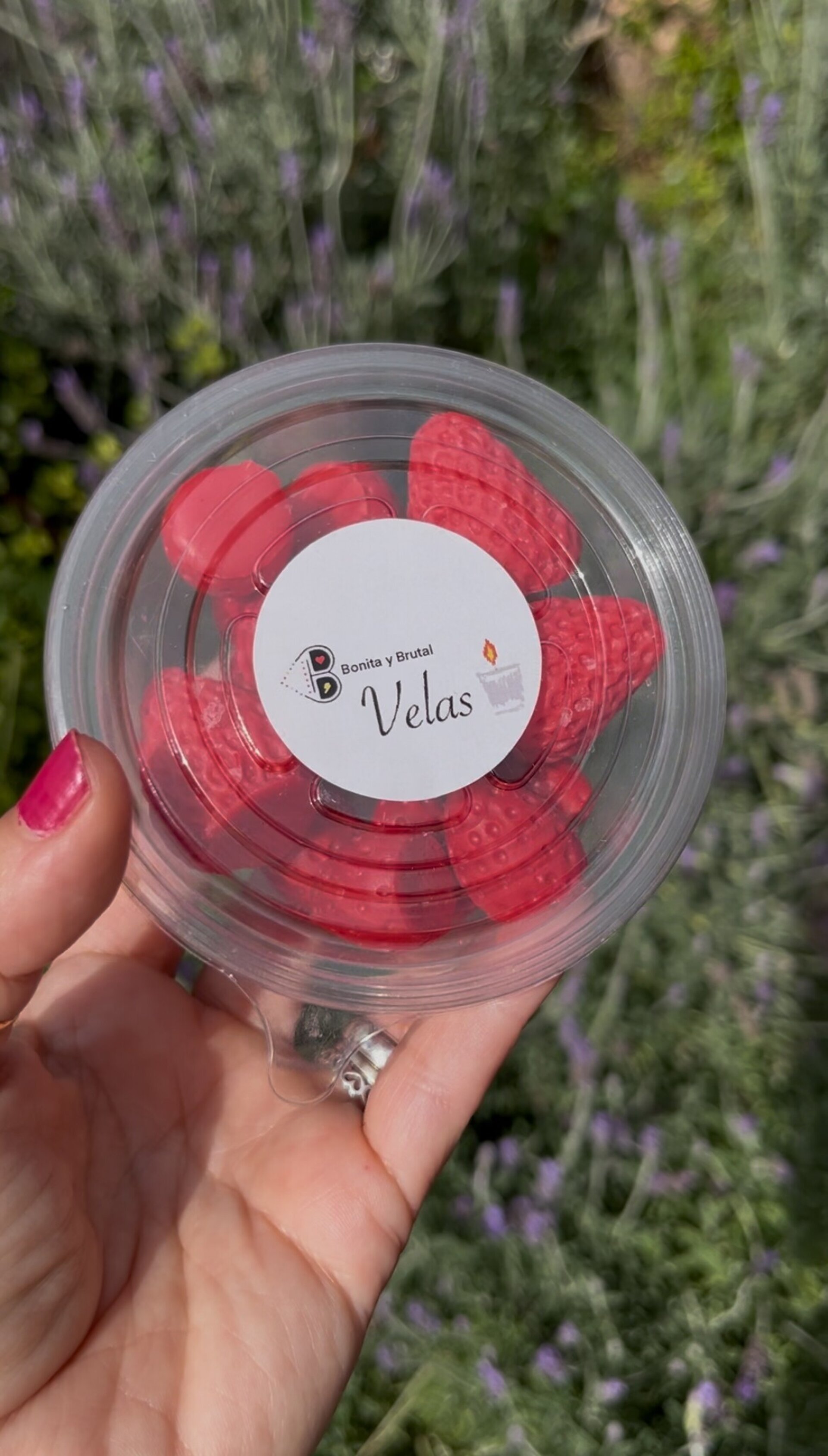 Wax Melt fresas de cera de soja - 6